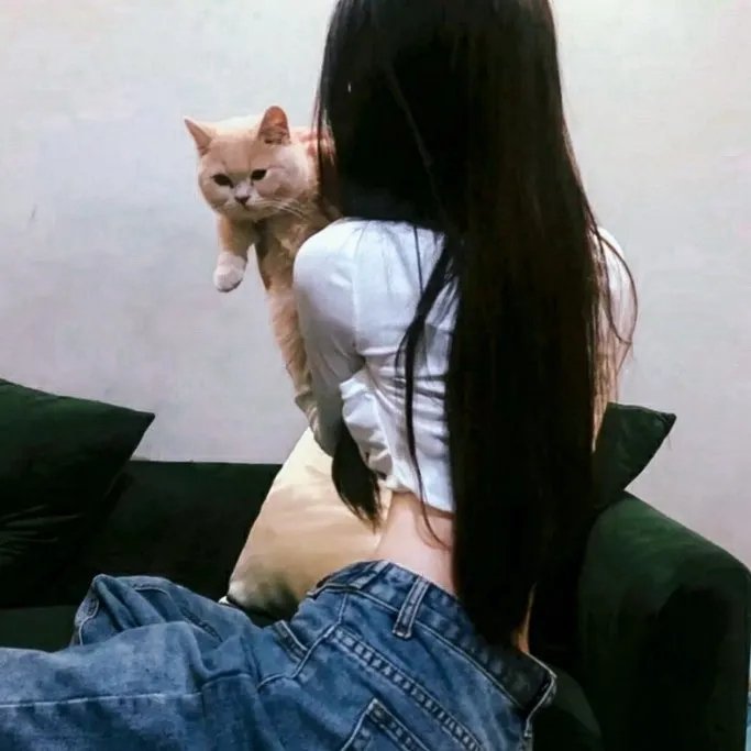 妈咪方程式